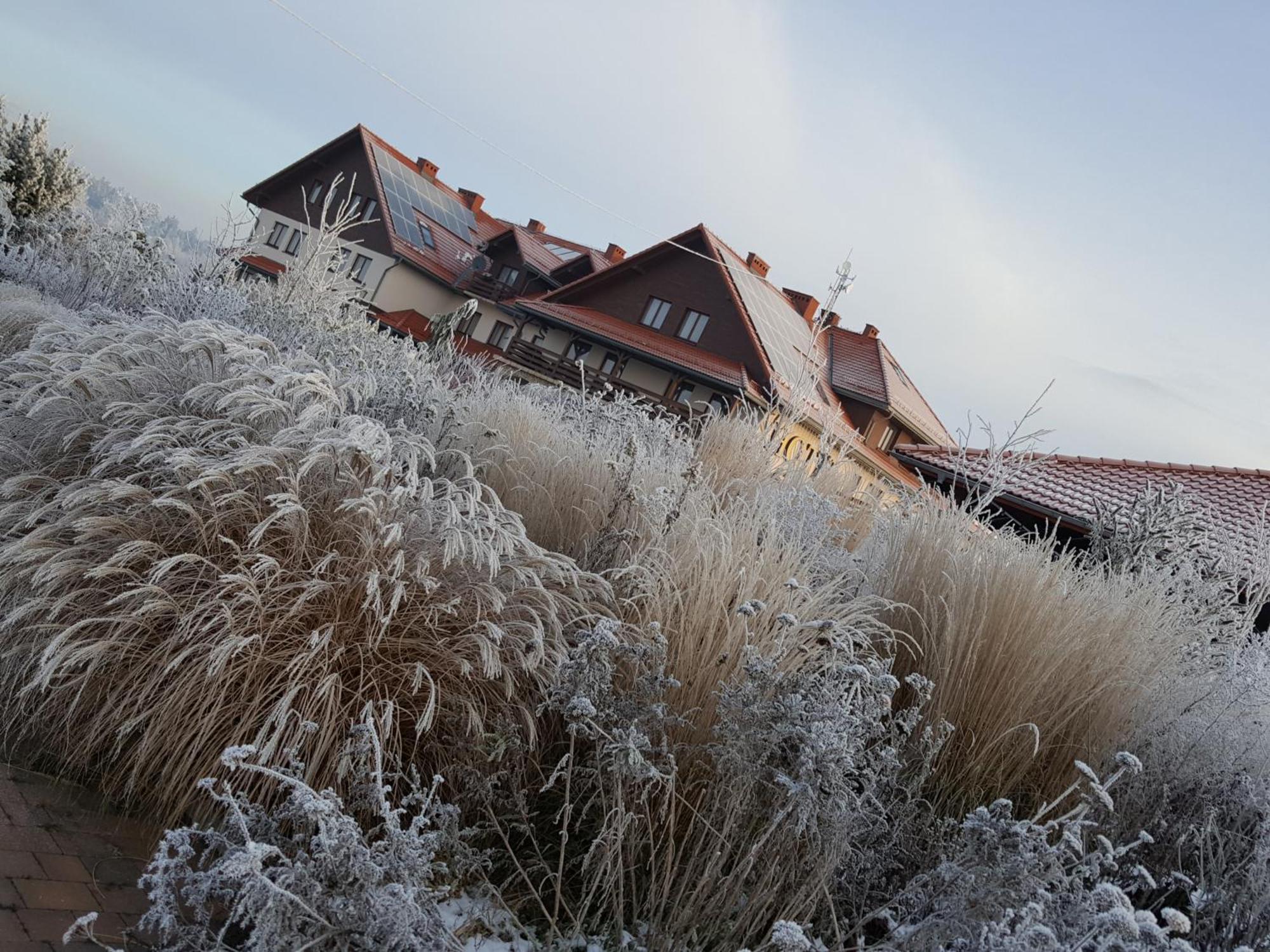 Czajowice Hotel Lokietek מראה חיצוני תמונה